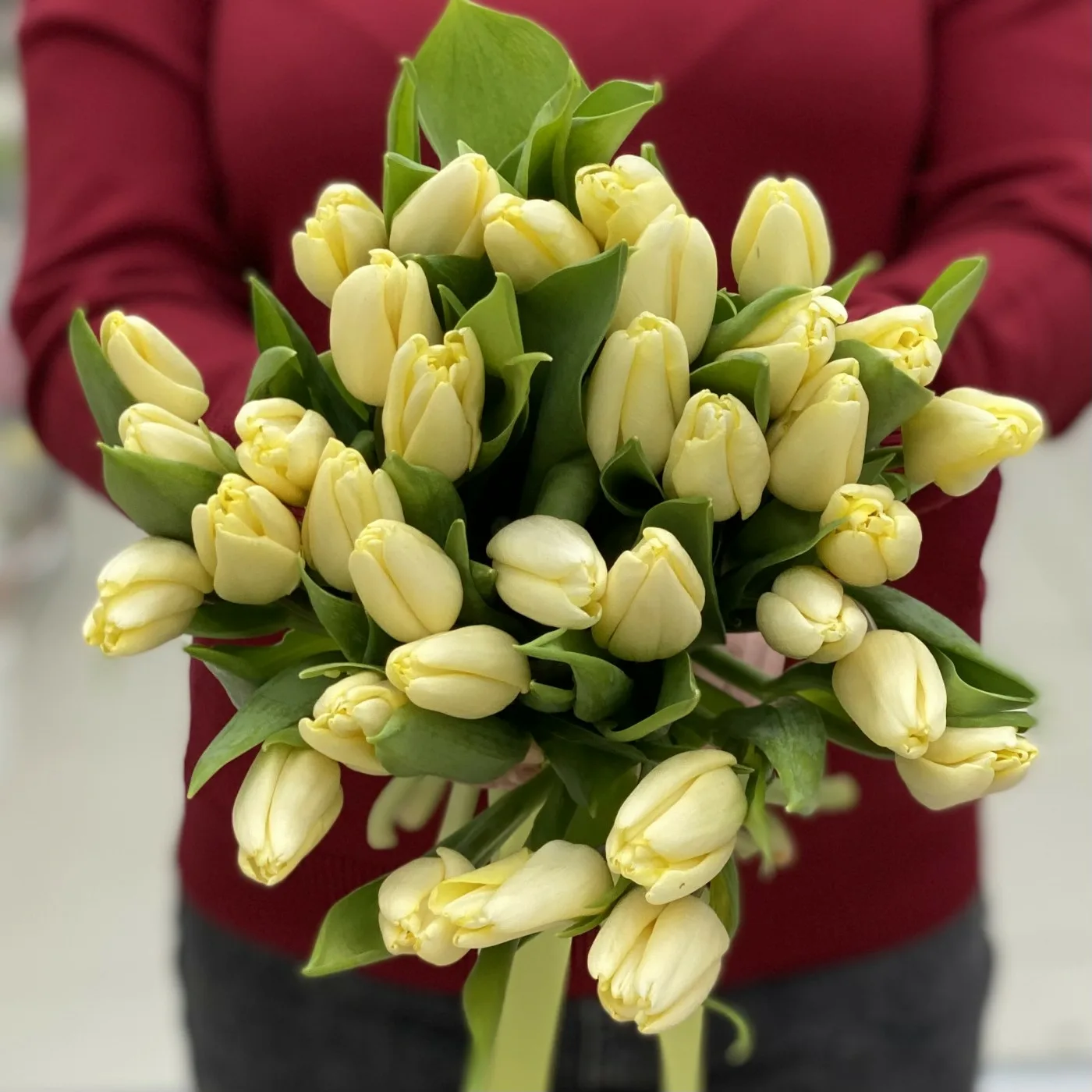 Кремовый тюльпан