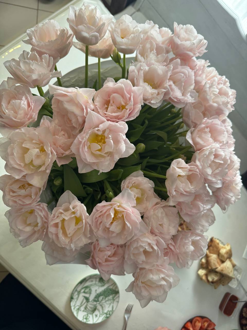 Махровый розовый тюльпан