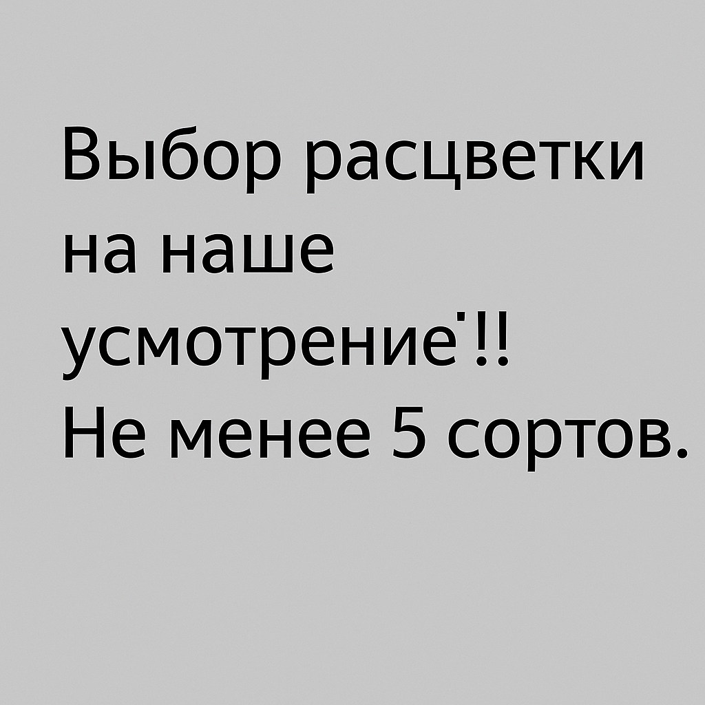 Микс тюльпанов